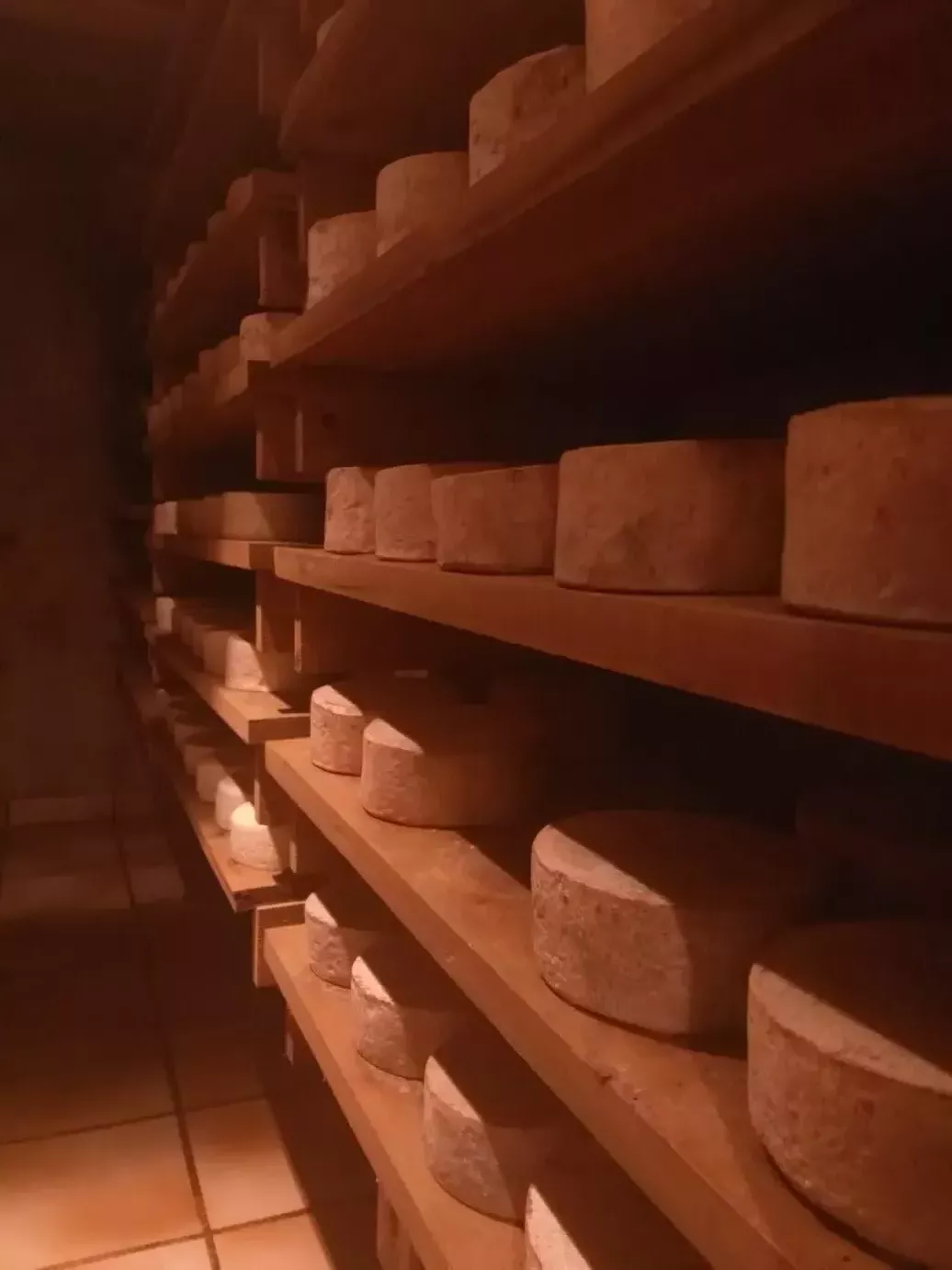 Cave et tommes