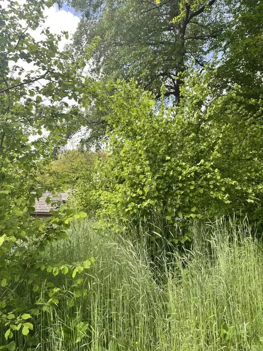 Milieu Semi Forestier
