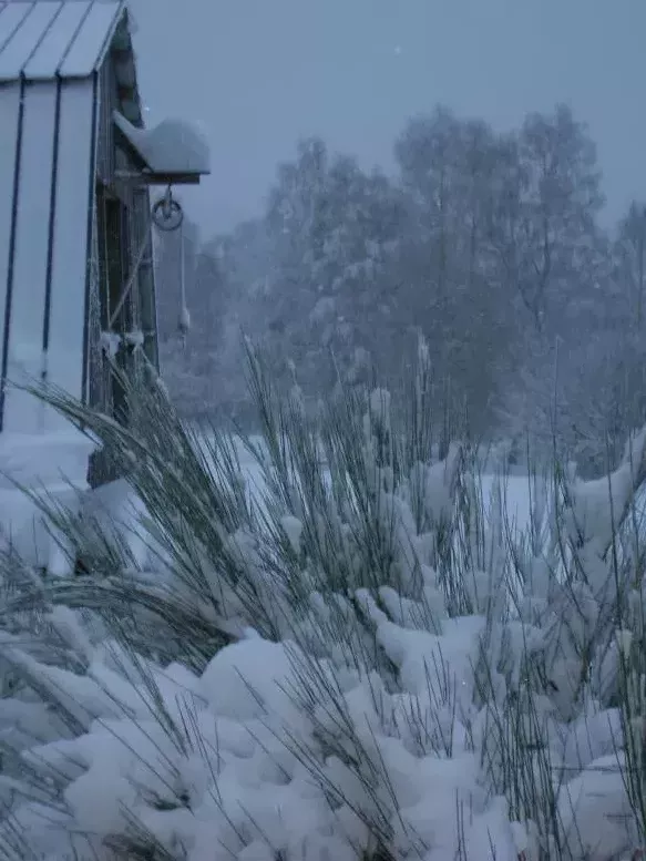 Chèvrerie sous la neige
