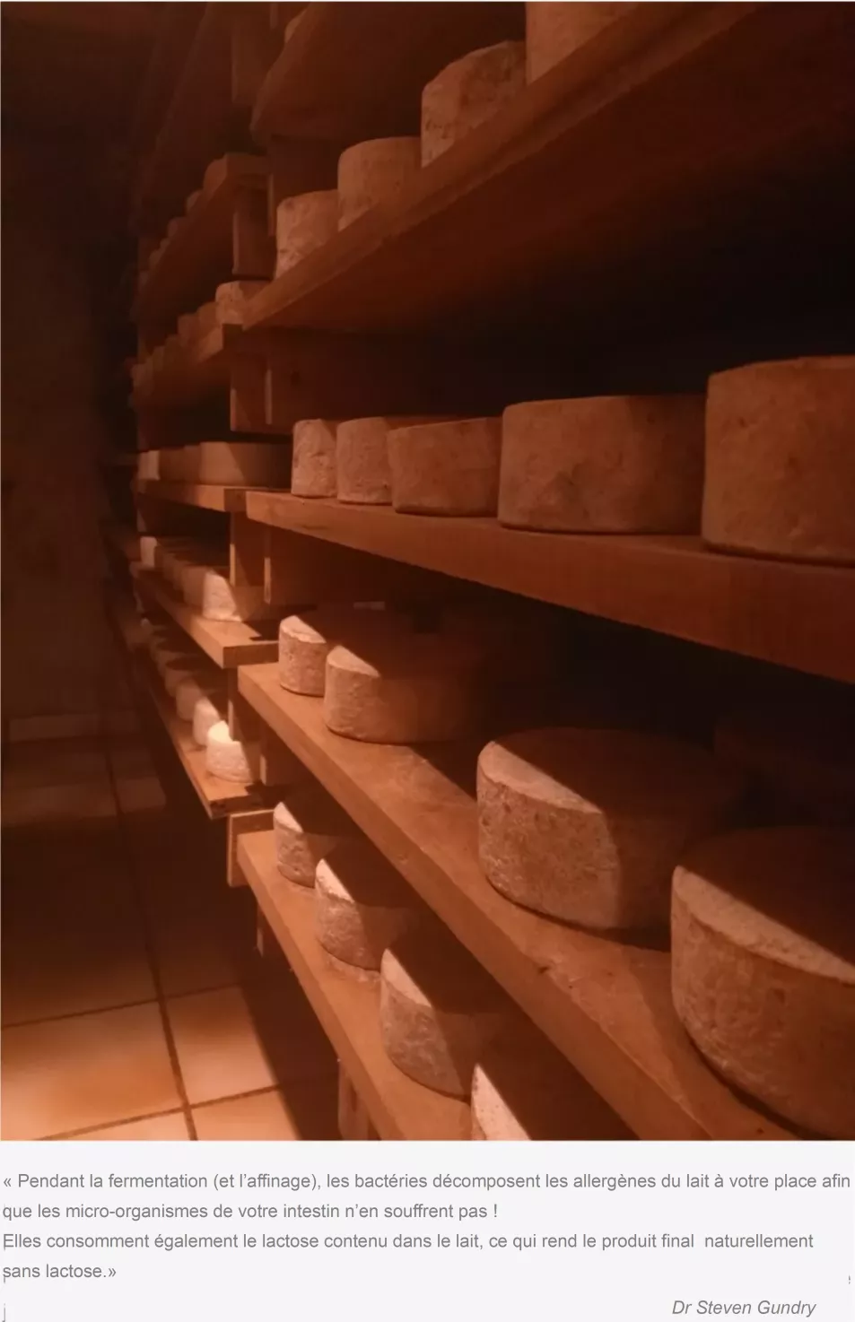 Tomme de chèvre, cave, Dr Steven Gundry