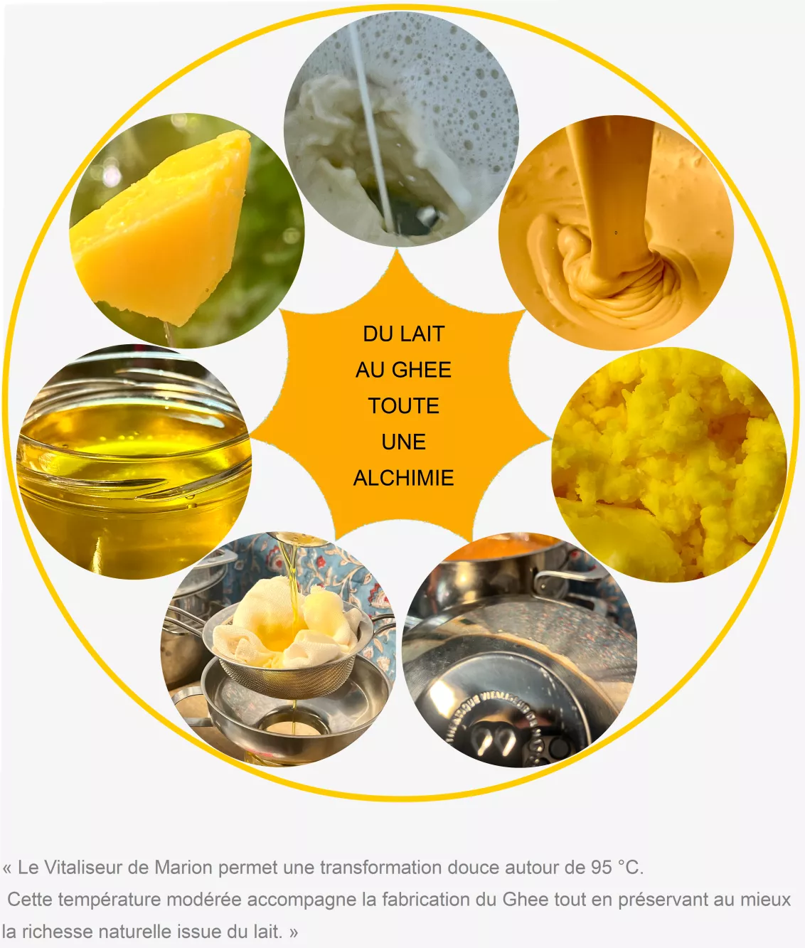 transformation-lait-ghee-vitaliseur-marion-gaiama.png