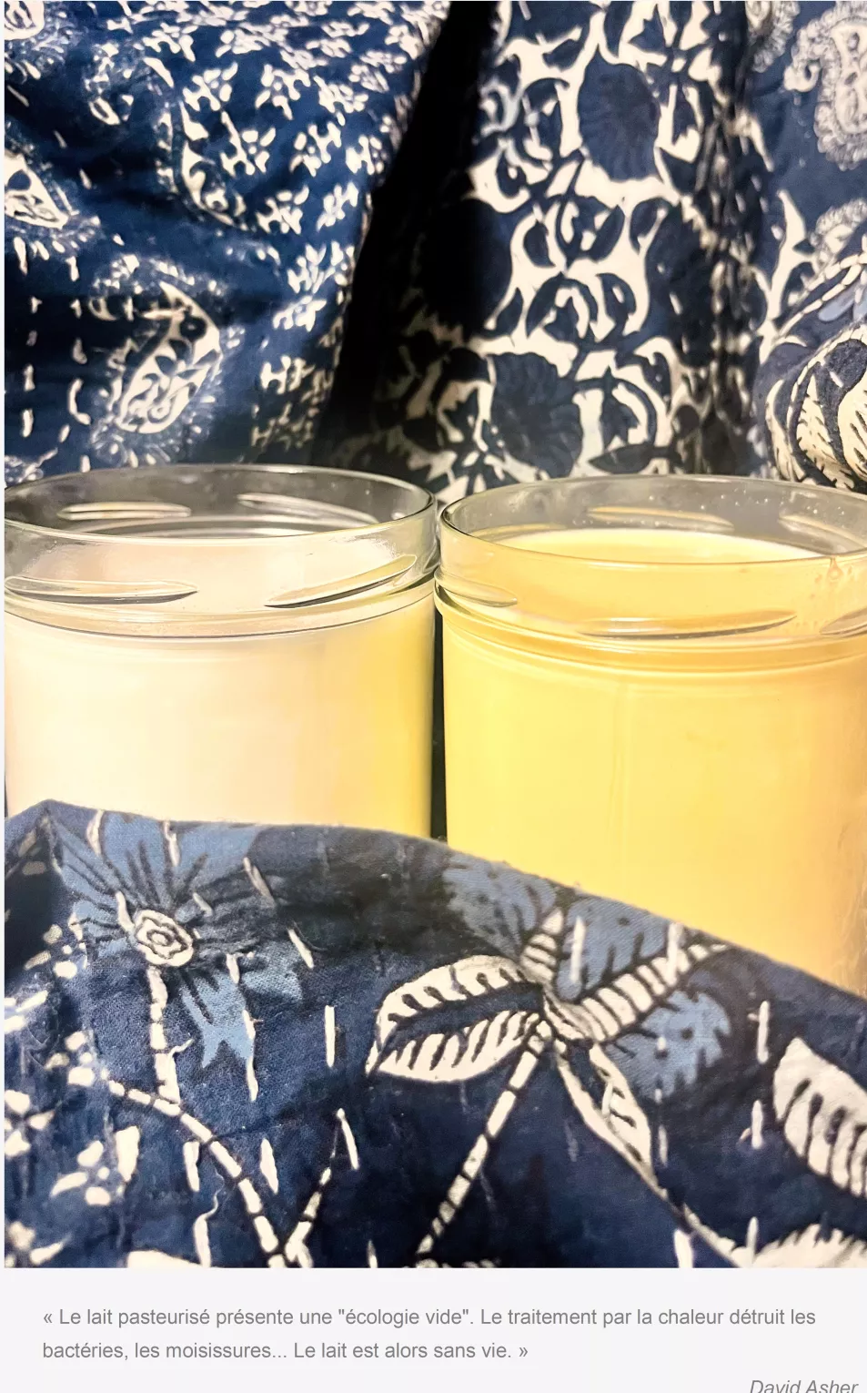comparaison lait de chèvre cru et lait de Jersiaise cru