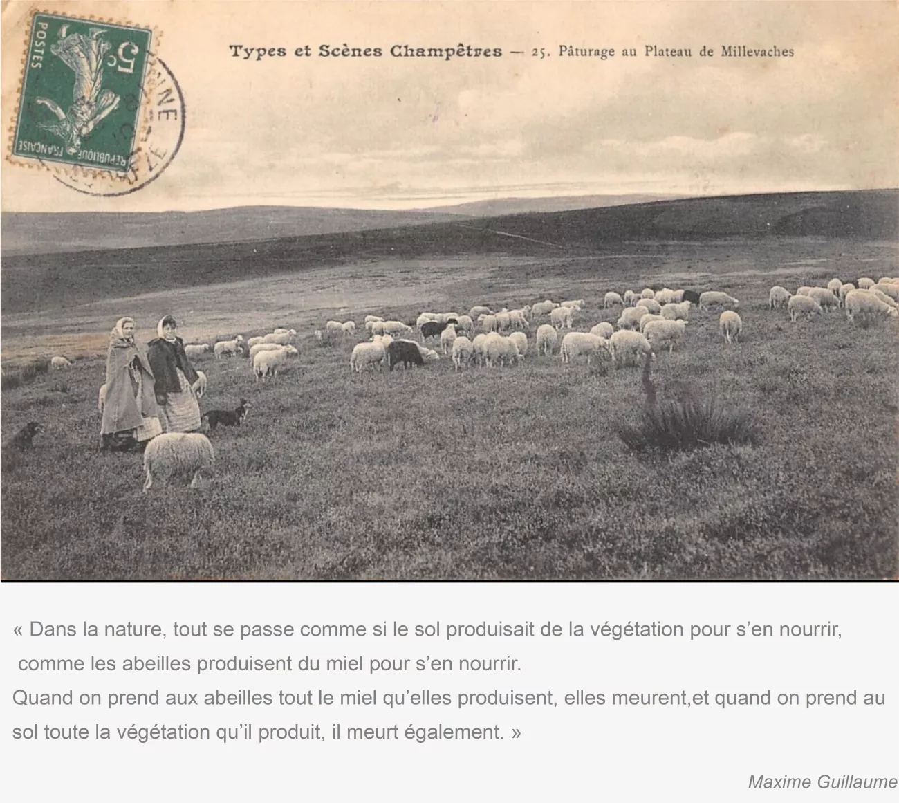 plateau-millevaches-ancienne-carte-postale-pastoralisme-tourbiere.png