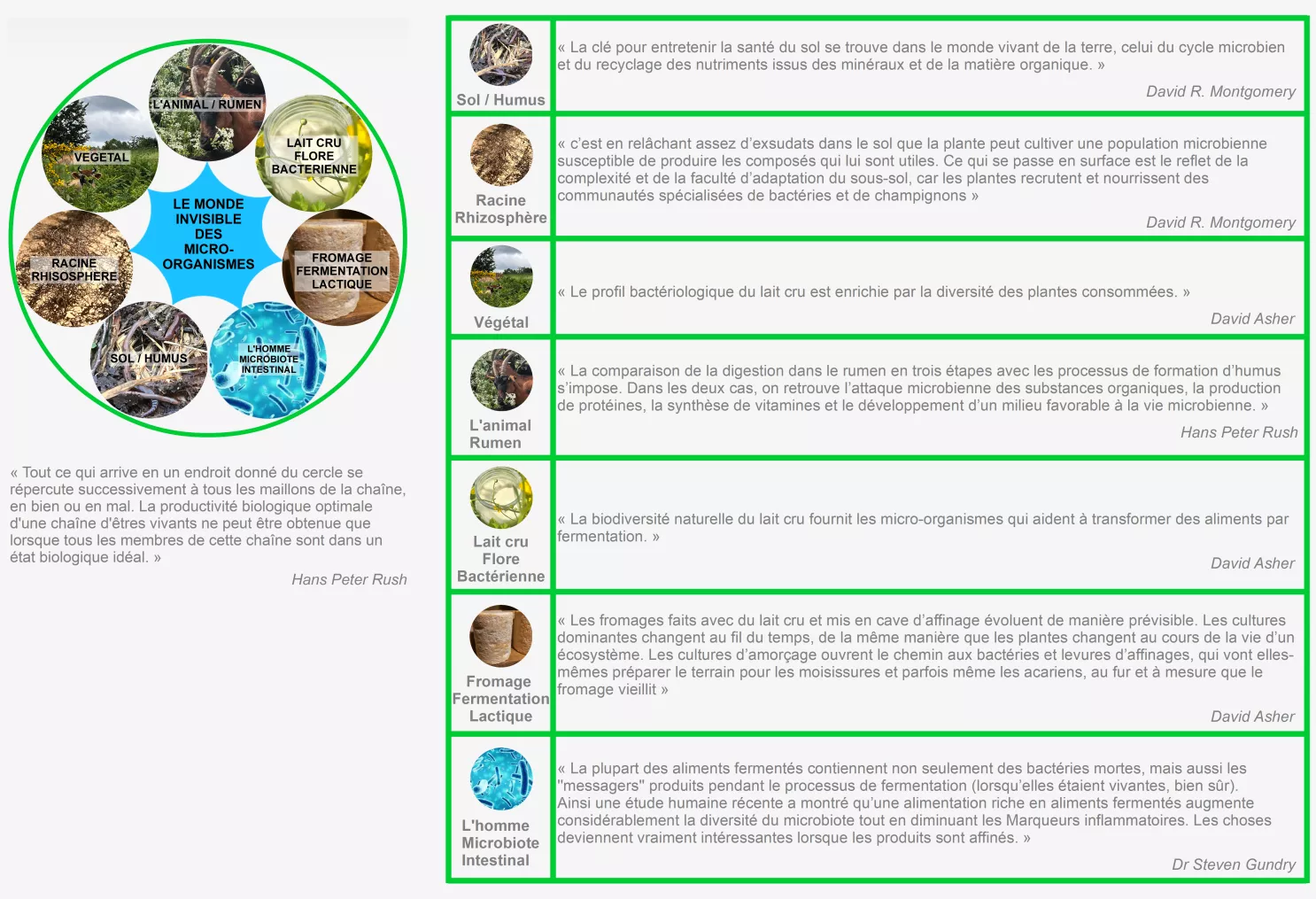 continuite-vivant-sol-rhizosphere-rumen-lait-cru-microbiote-gaiama.png